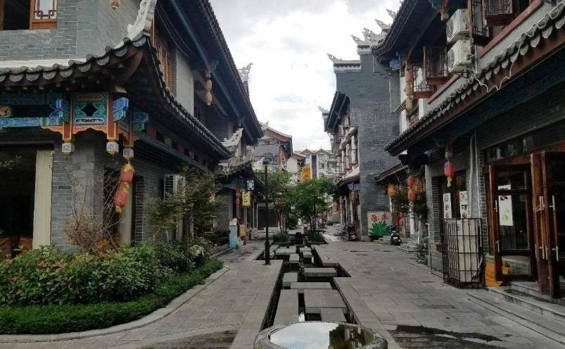 植物大战僵尸：花园战争